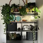 Gemuetliche Schlafcouch Im Hellen Wohnzimmer Zum Kurzaufenthalt