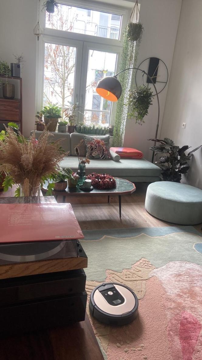 Gemuetliche Schlafcouch Im Hellen Wohnzimmer Zum Kurzaufenthalt