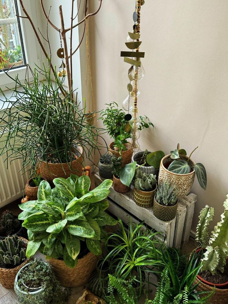 Gemuetliche Schlafcouch Im Hellen Wohnzimmer Zum Kurzaufenthalt Privatunterkunft Köln